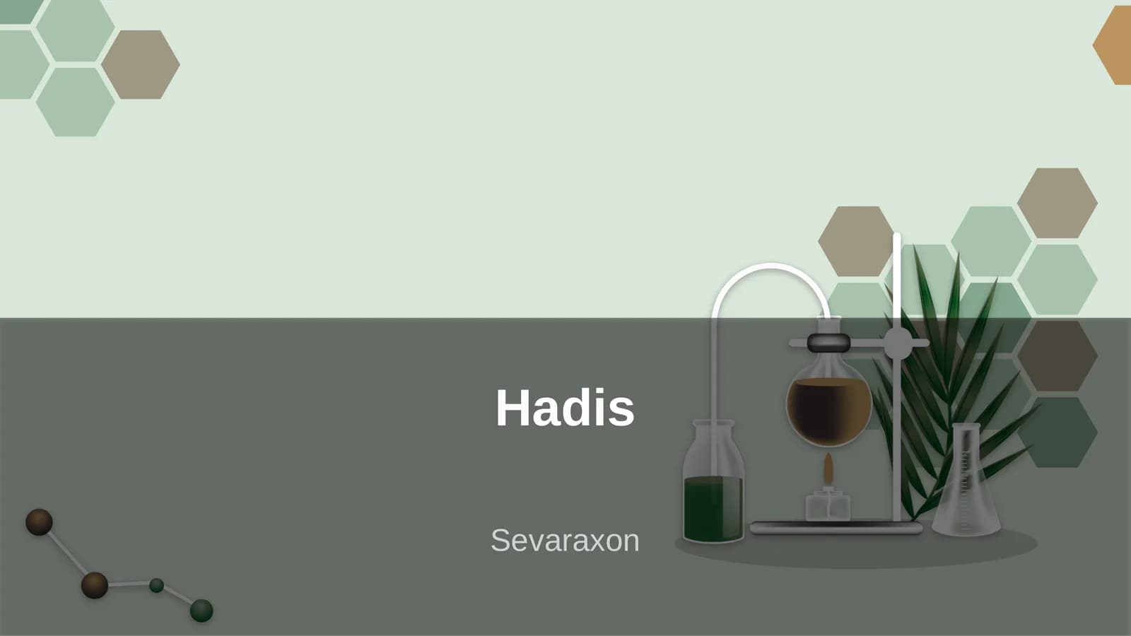 Hadis