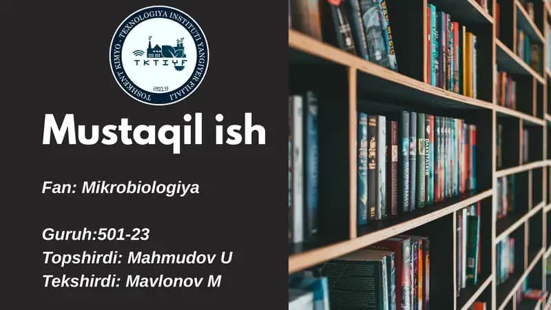 Go'sht Mahsulotlarini Ishlab Chiqarishda Mikroorganizmlarning Roli