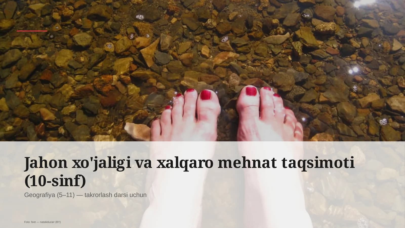 Jahon xo'jaligi va xalqaro mehnat taqsimoti (10-sinf)