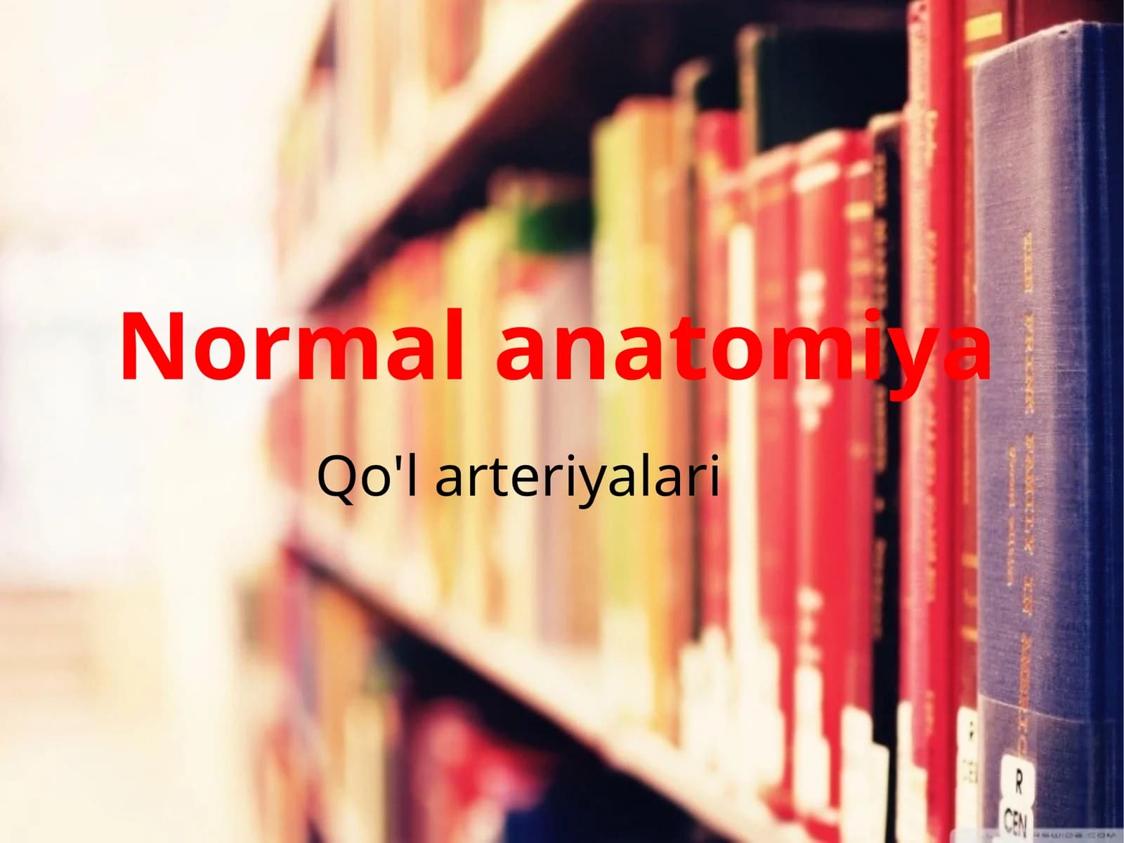 qoʻl arteriyalari normal anatomiyasi