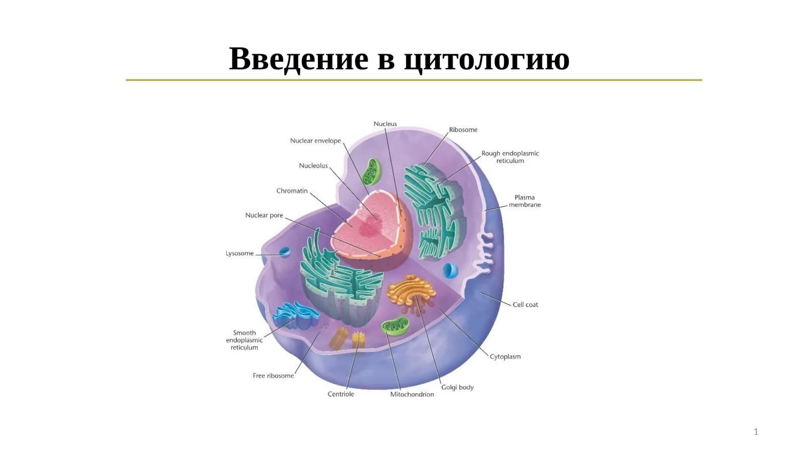 Введение в цитологию