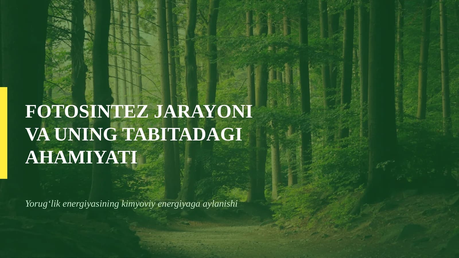 FOTOSINTEZ JARAYONI VA UNING TABITADAGI AHAMIYATI