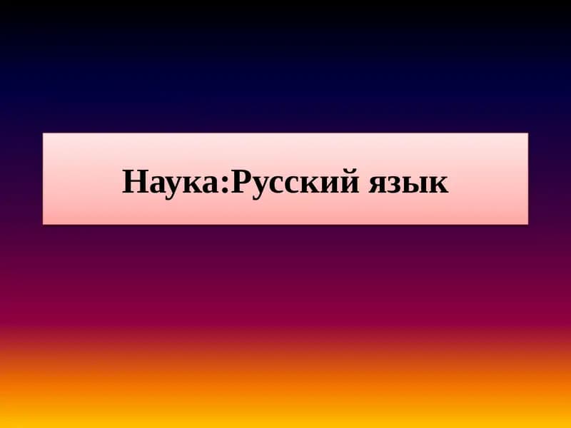 Университет