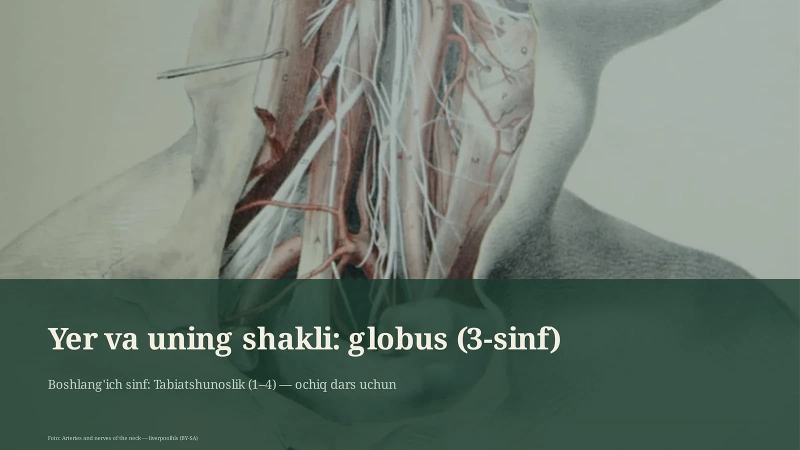 Yer va uning shakli: globus (3-sinf)
