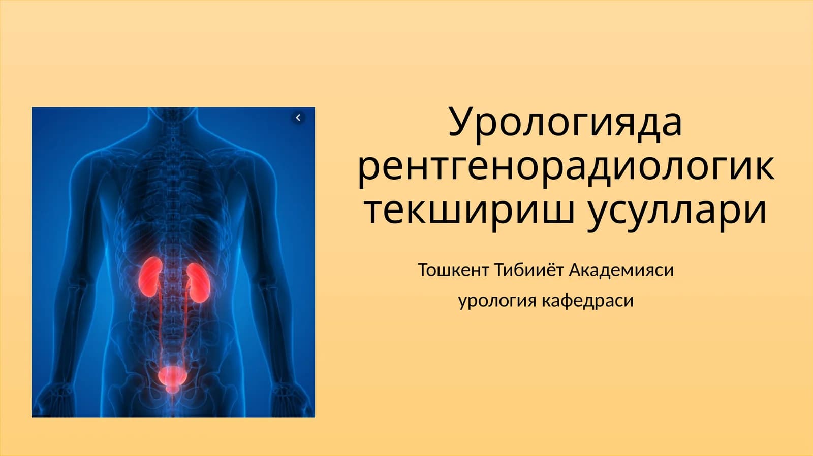 Урологияда рентгенорадиологик техсирис усуллари