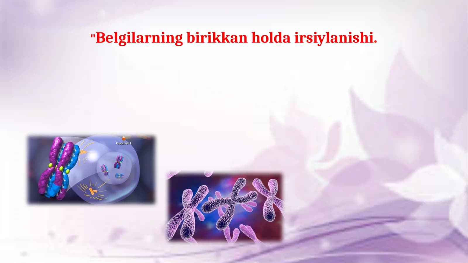 Jinsiy xromosomalar va avlodlar. Belgilarning birikkan holda irsiylanishi