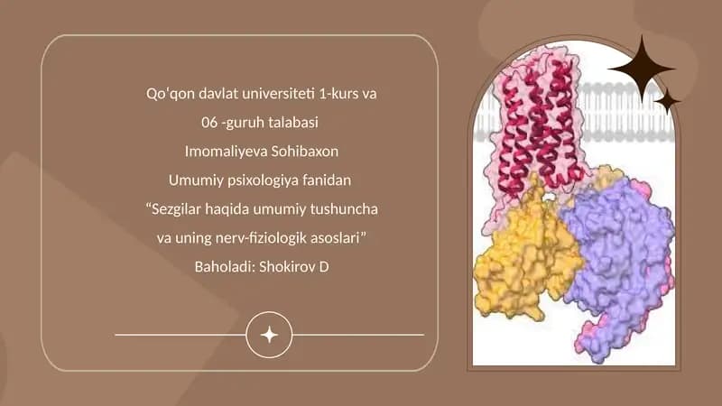 Sezgilar haqida umumiy tushuncha va ularning nerv-fiziologik asoslari