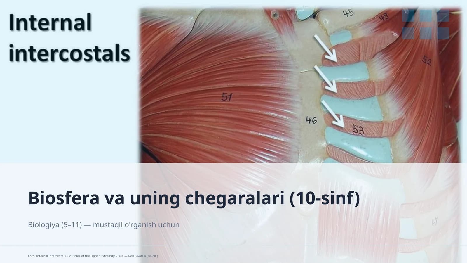 Biosfera va uning chegaralari (10-sinf)