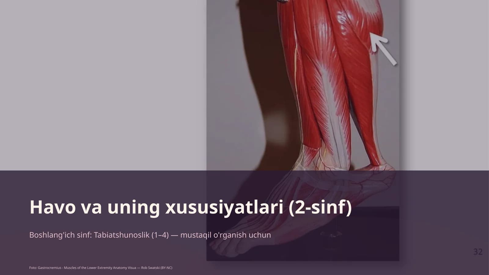 Havo va uning xususiyatlari (2-sinf)