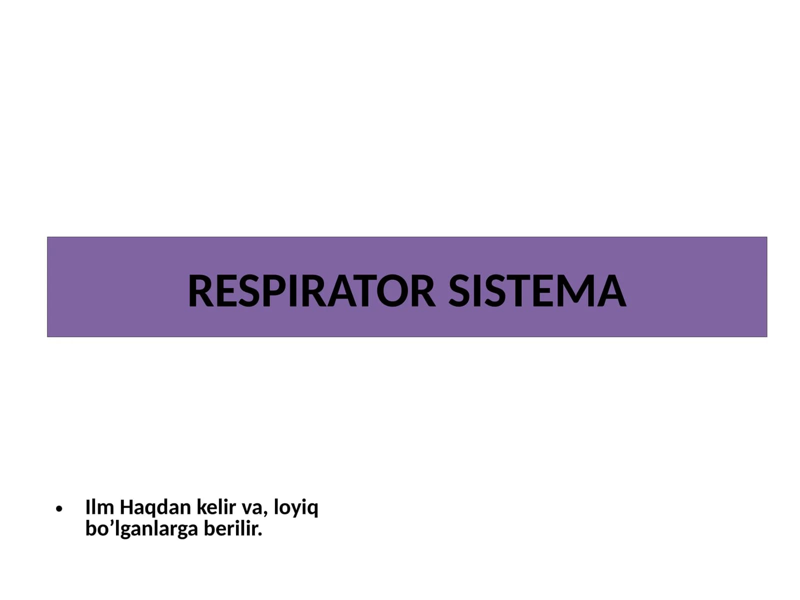 RESPIRATOR SISTEMA