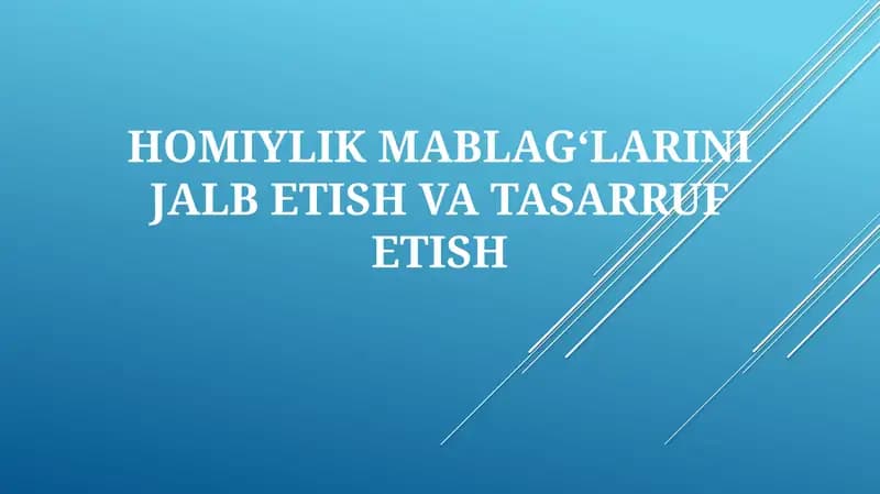 HOMIYLIK MABLAG‘LARINI JALB ETISH VA TASARRUF ETISH