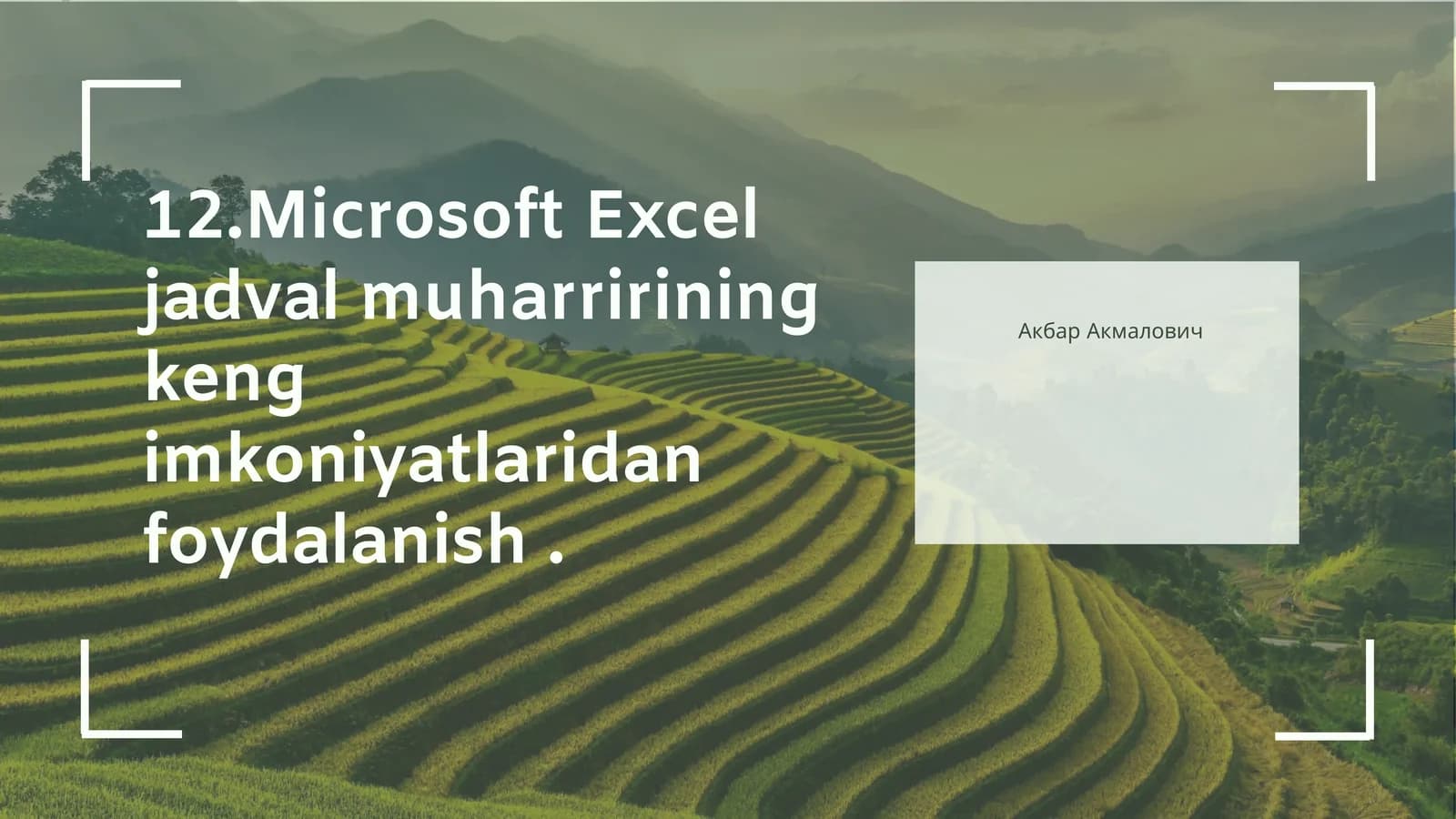 Microsoft Excel