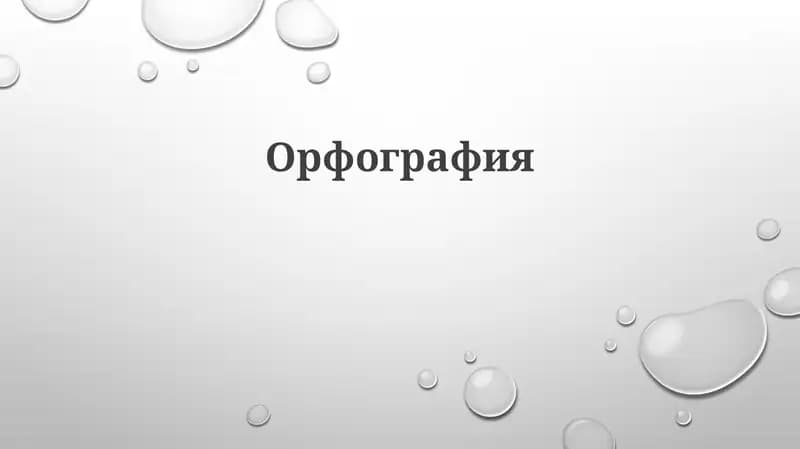 Орфография