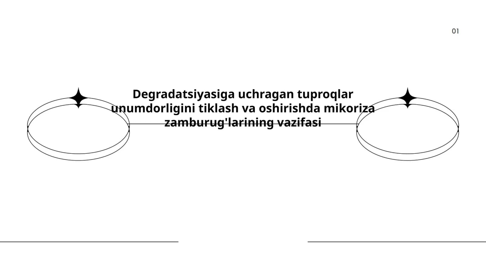 Degradatsiyasiga uchragan tuproqlar unumdorligini tiklash va oshirishda mikoriza zamburug'larining vazifasi
