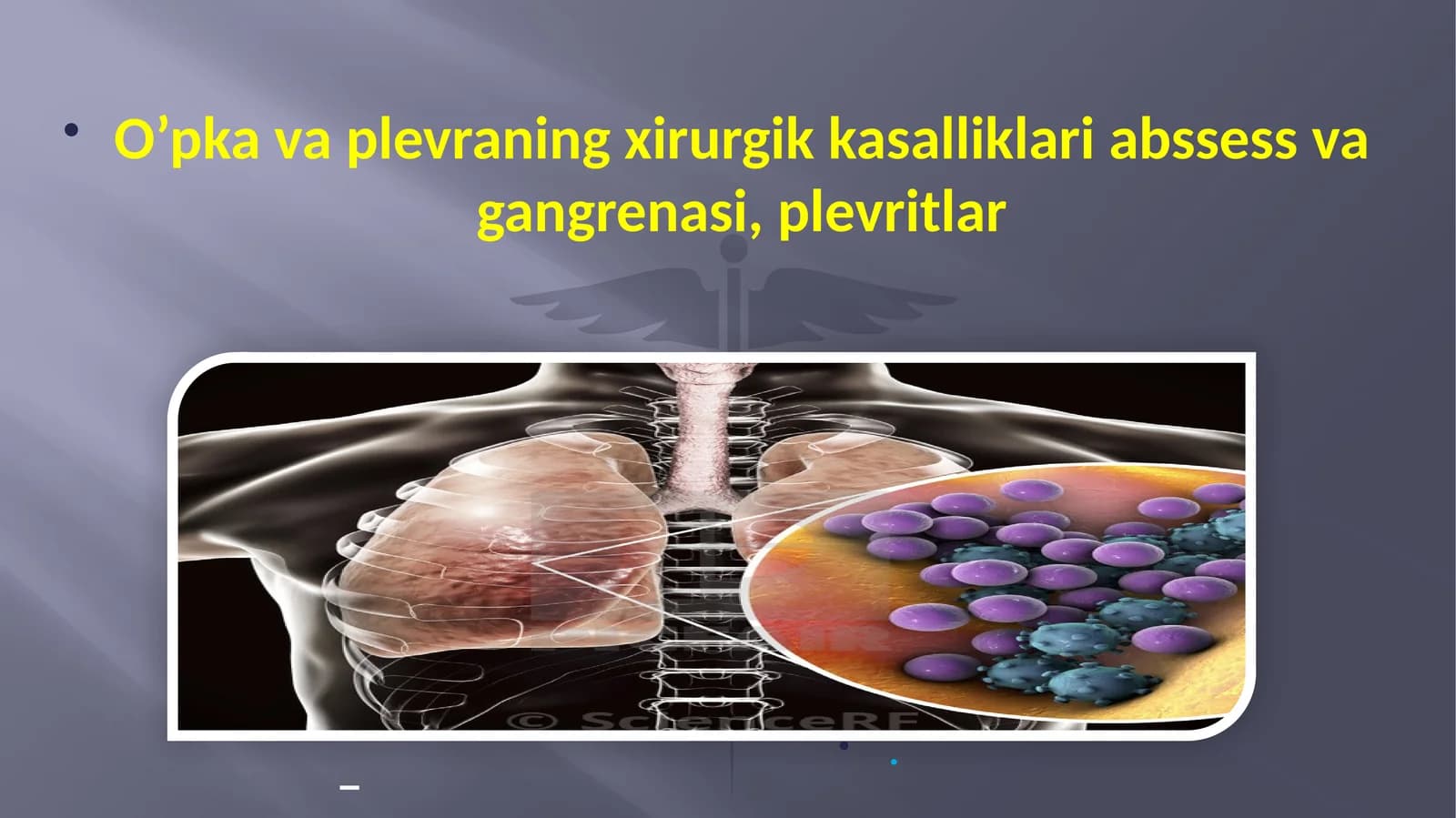 O’pka va plevraning xirurgik kasalliklari abssess va gangrenasi, plevritlar