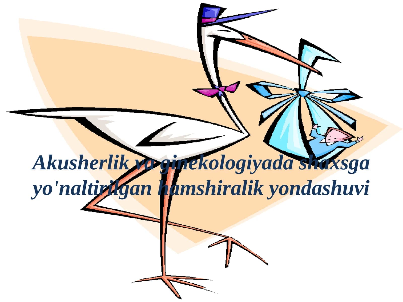 Akusherlik va ginekologiyada shaxsga yo'naltirilgan hamshiralik yondashuvi