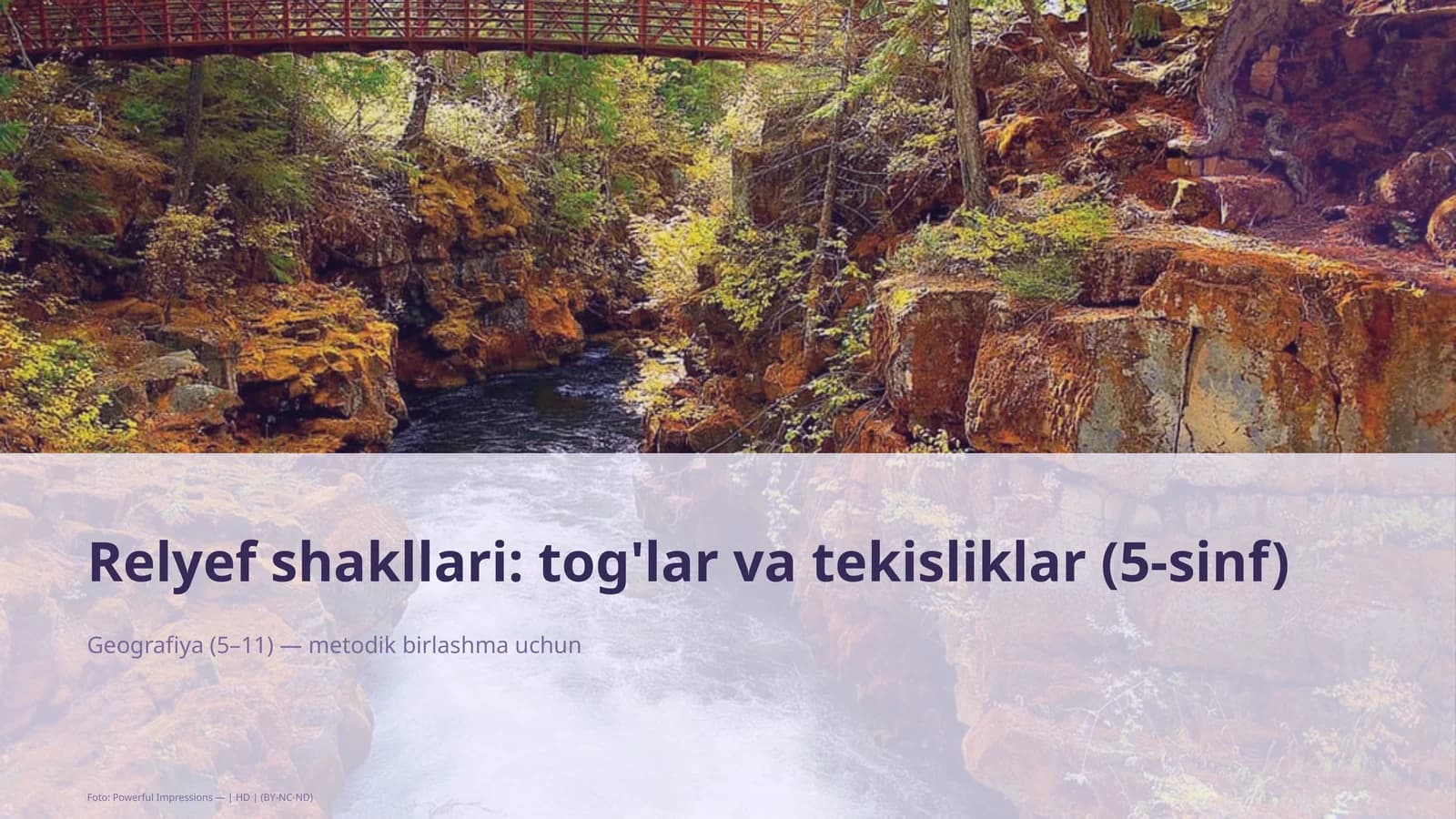 Relyef shakllari: tog'lar va tekisliklar (5-sinf)