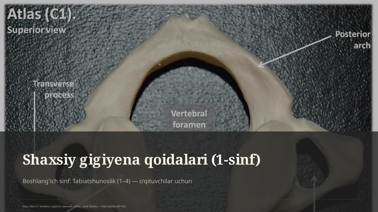 Shaxsiy gigiyena qoidalari (1-sinf)