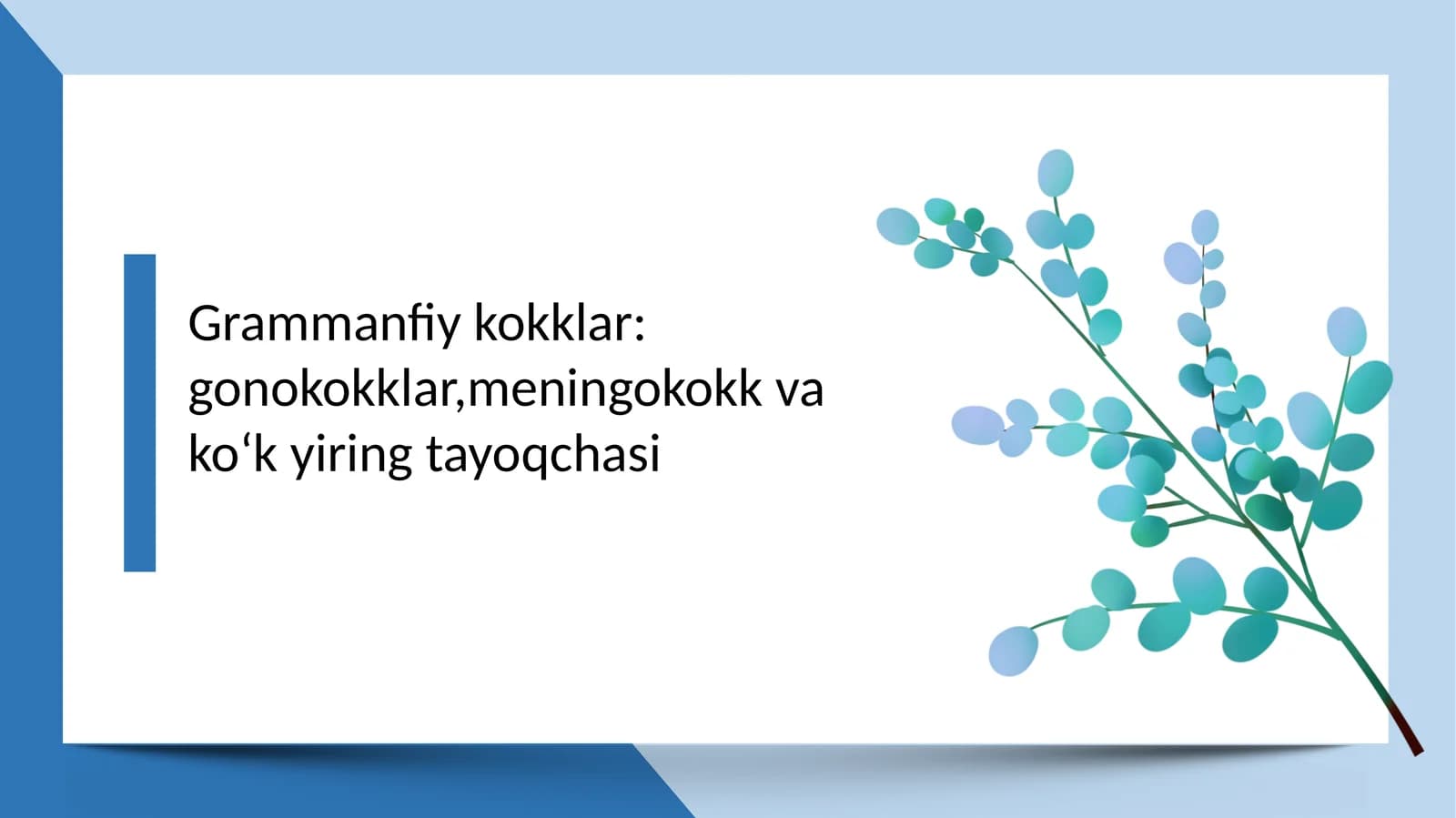meningokokk gonagokklar