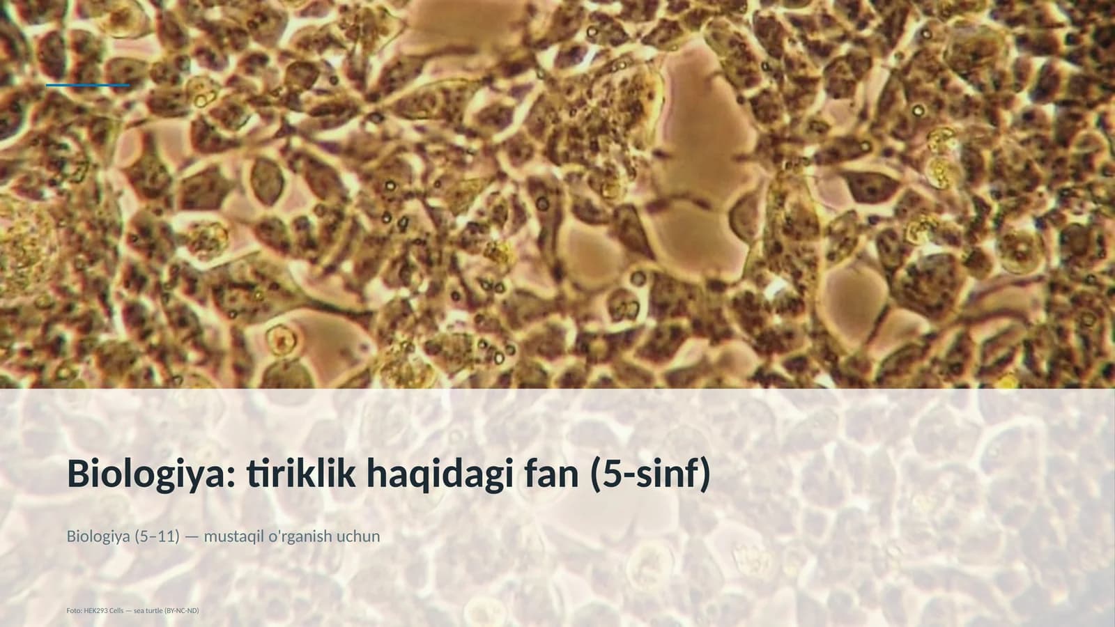 Biologiya: tiriklik haqidagi fan (5-sinf)