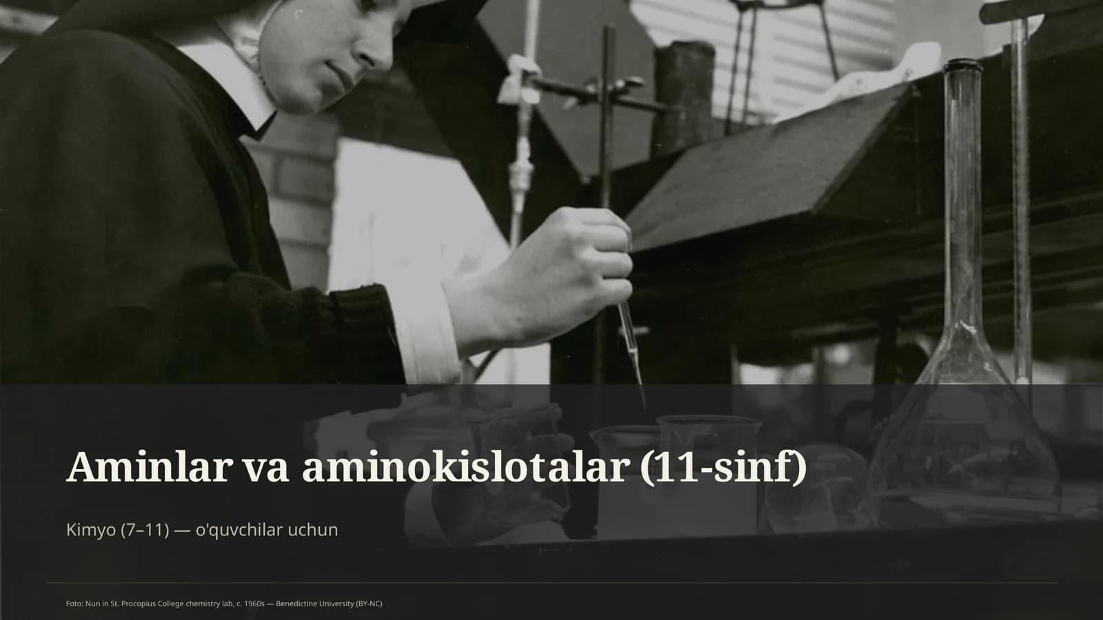 Aminlar va aminokislotalar (11-sinf)