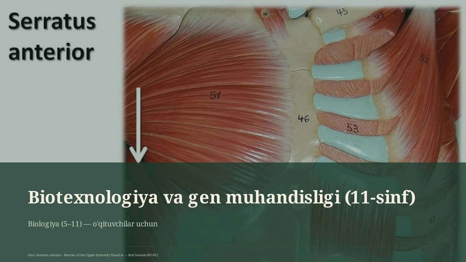 Biotexnologiya va gen muhandisligi (11-sinf)