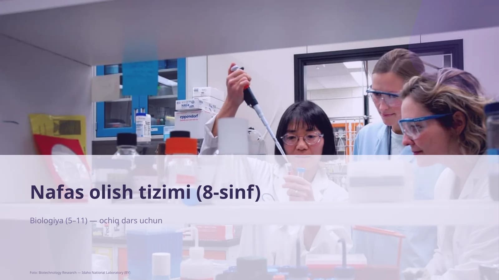 Nafas olish tizimi (8-sinf)