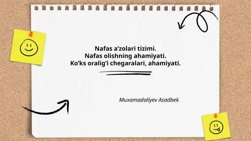 Nafas a'zolari tizimi