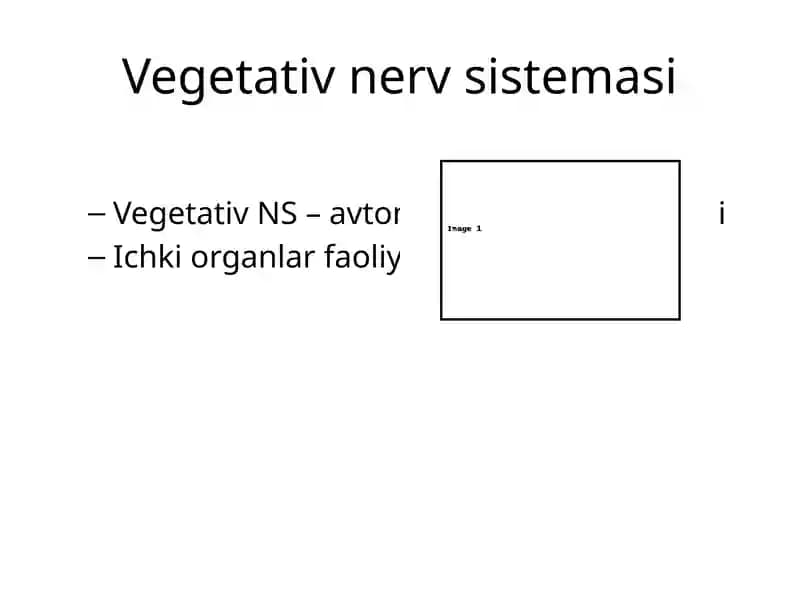 Vegetativ nerv sistemasi