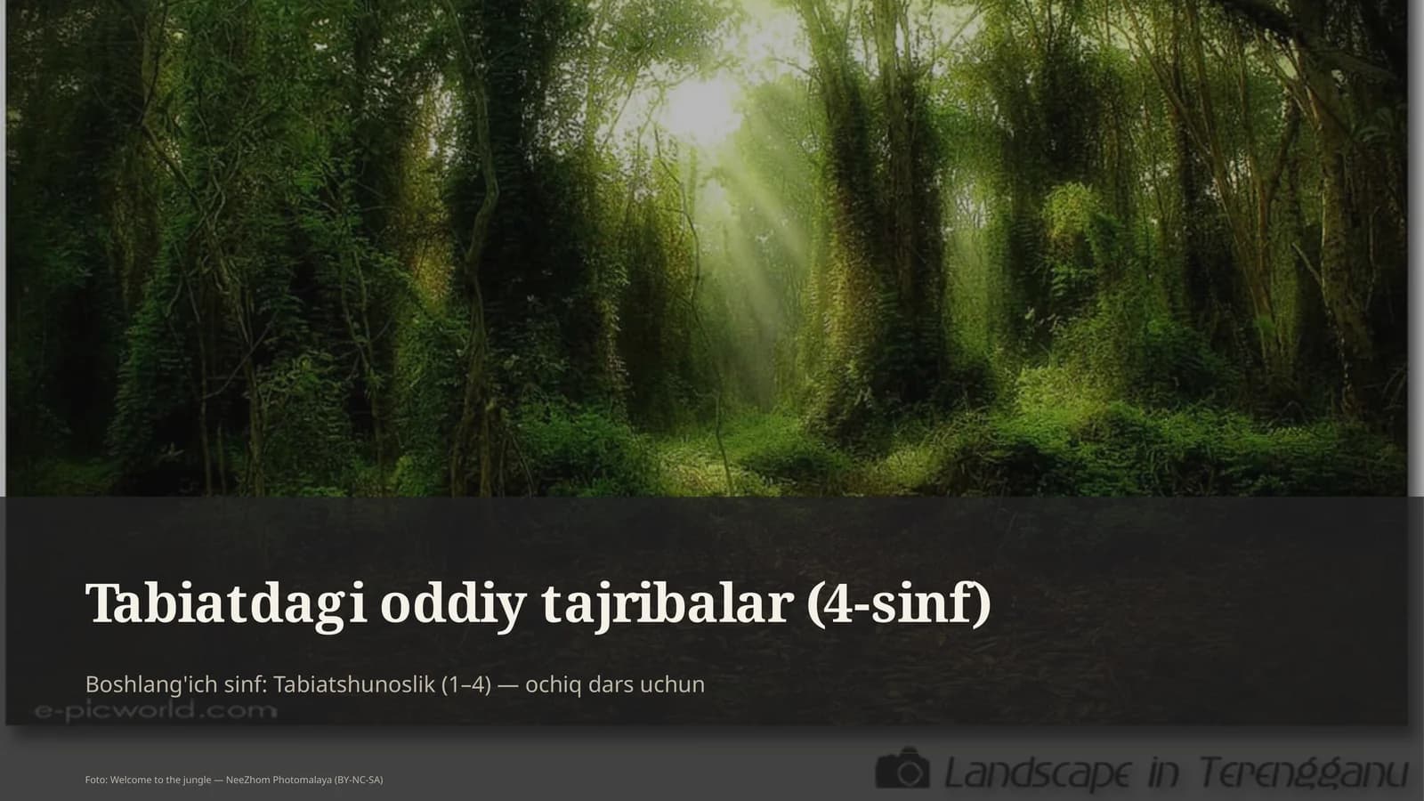 Tabiatdagi oddiy tajribalar (4-sinf)