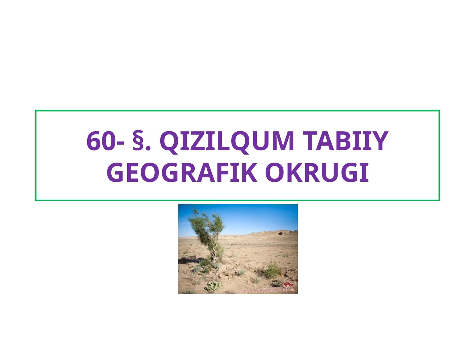 QIZILQUM TABIIY GEOGRAFIK OKRUGI