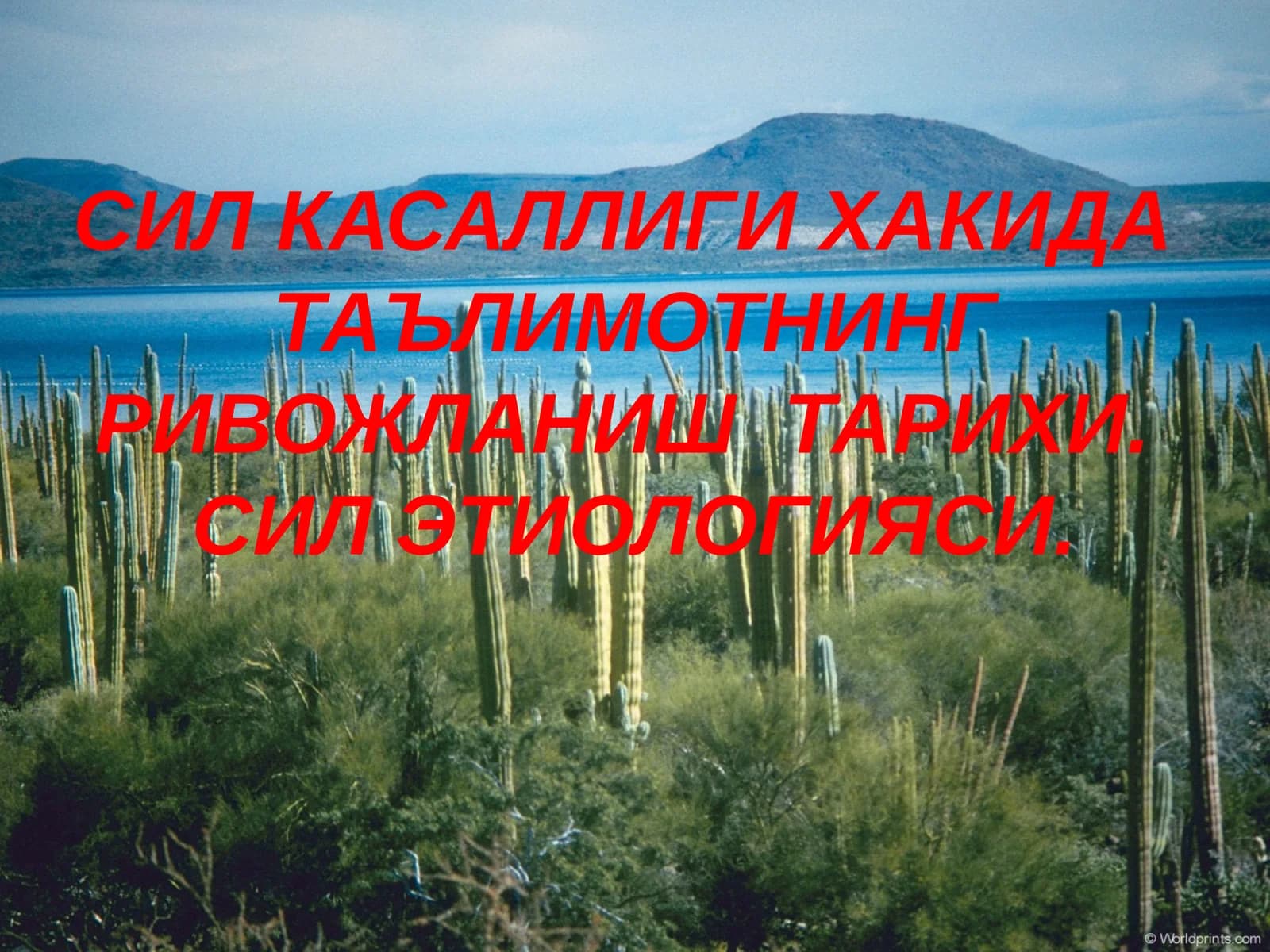 Сил Касаллиги Хакидар Таълимотнинг Ривожланиш Тарихи.Сил Этиологияси