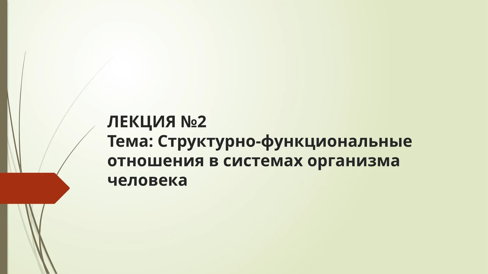 ЛЕКЦИЯ №2Тема: Структурно-функциональные отношения в системах организма человека
