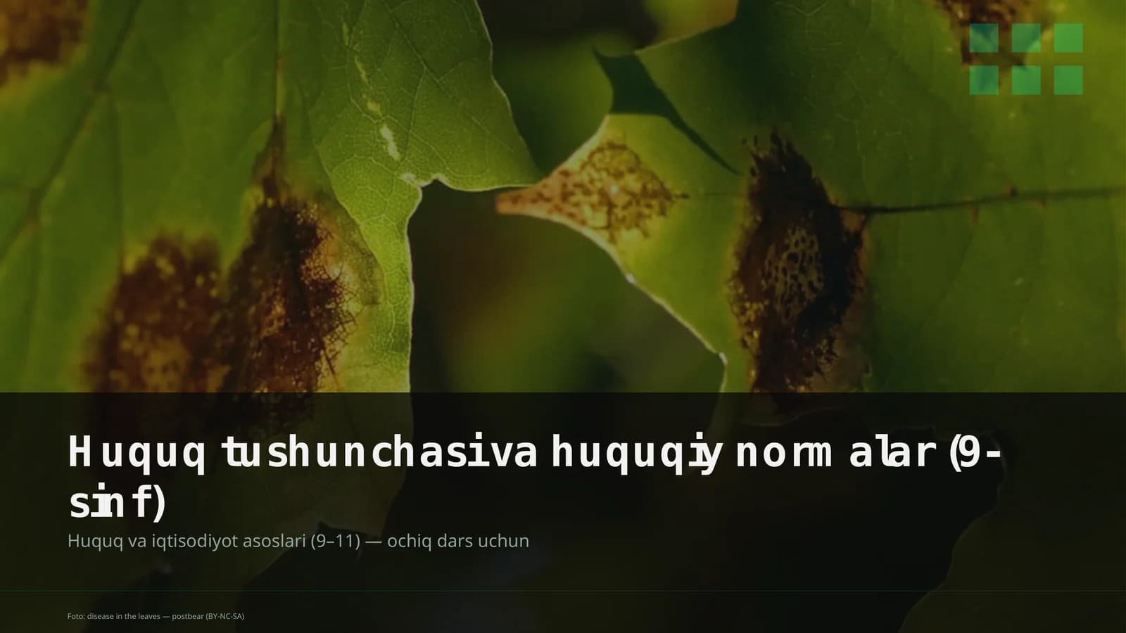 Huquq tushunchasi va huquqiy normalar (9-sinf)