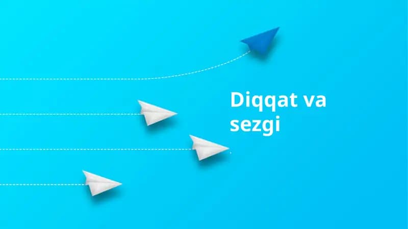 Diqqat va sezgi