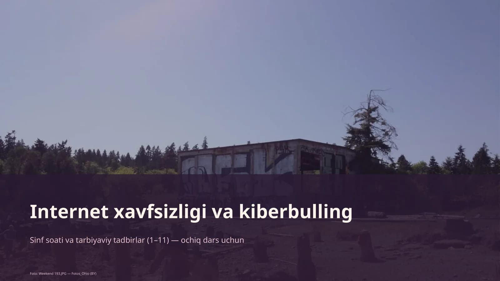 Internet xavfsizligi va kiberbulling