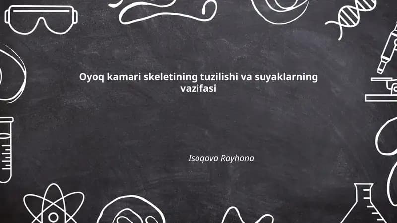 Oyoq kamari skeletining tuzilishi va suyaklarning vazifasi