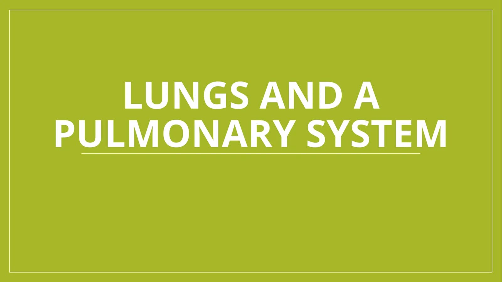 Lungs and a pulmonary system