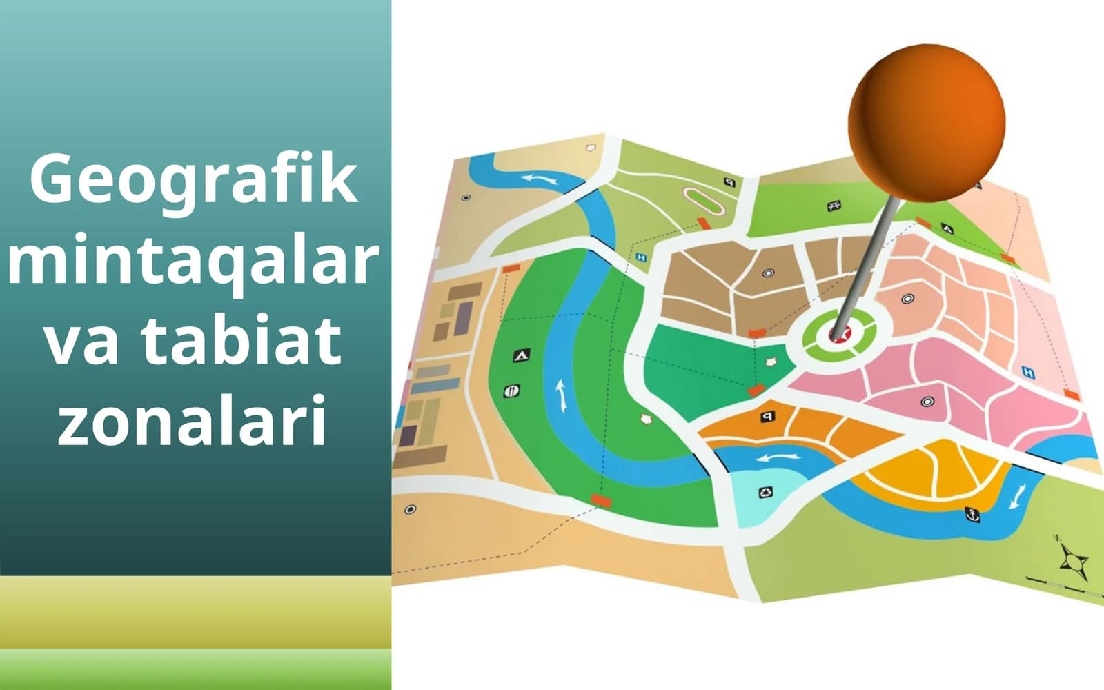 Geografik mintaqa va tabiat zonalari