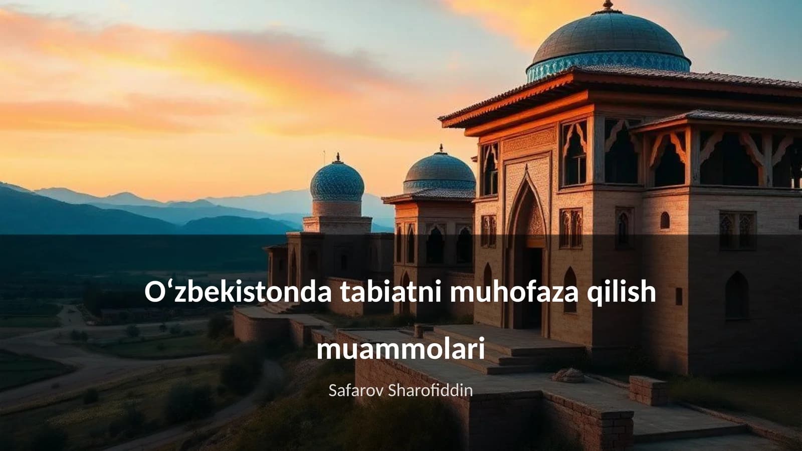 Oʻzbekistonda tabiatni muhofaza qilish muammolari