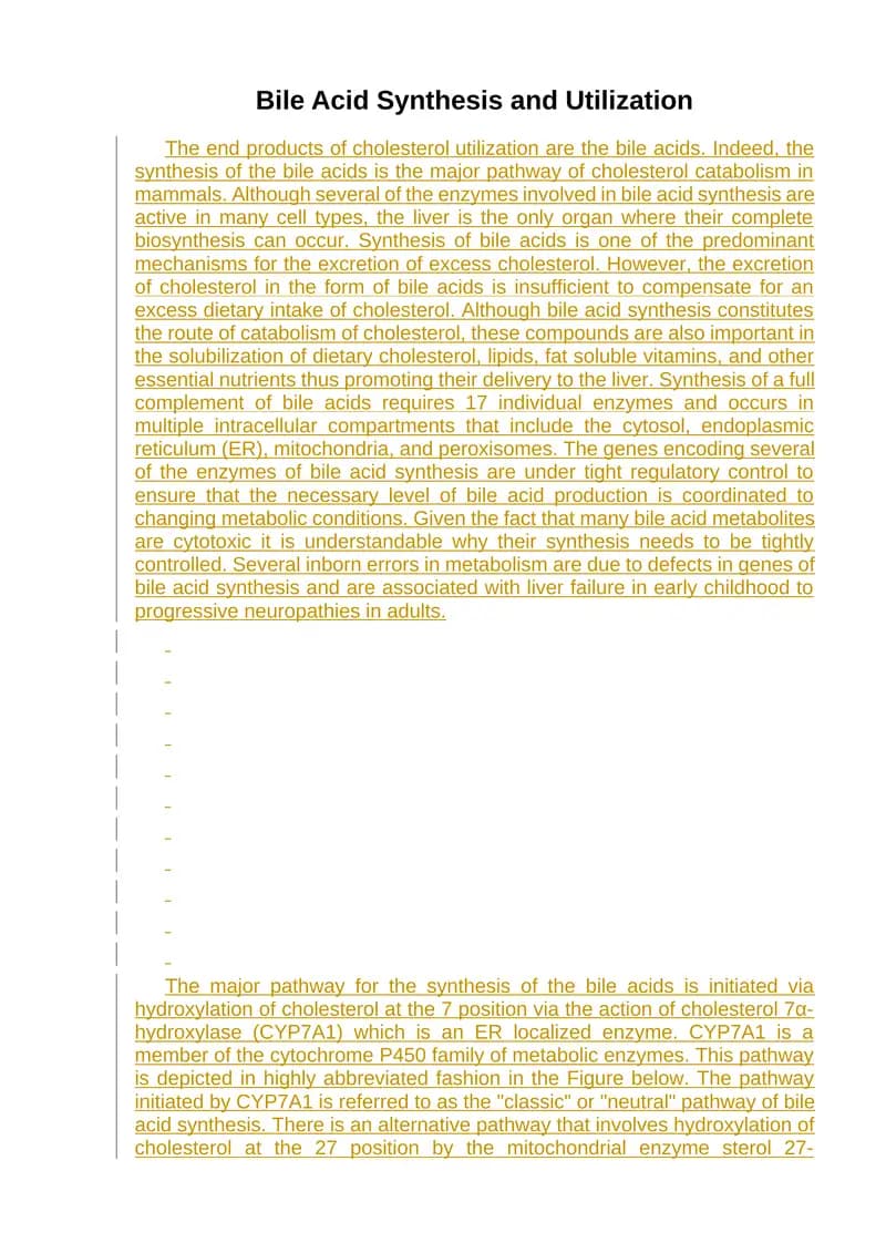 Bile Acid Synthesis and Utilization