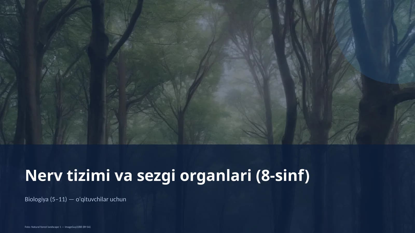 Nerv tizimi va sezgi organlari (8-sinf)
