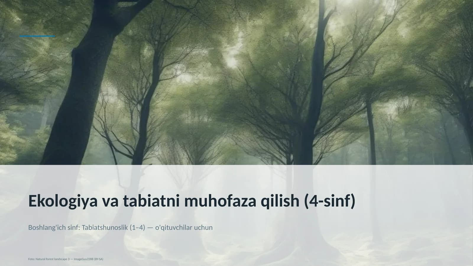 Ekologiya va tabiatni muhofaza qilish (4-sinf)