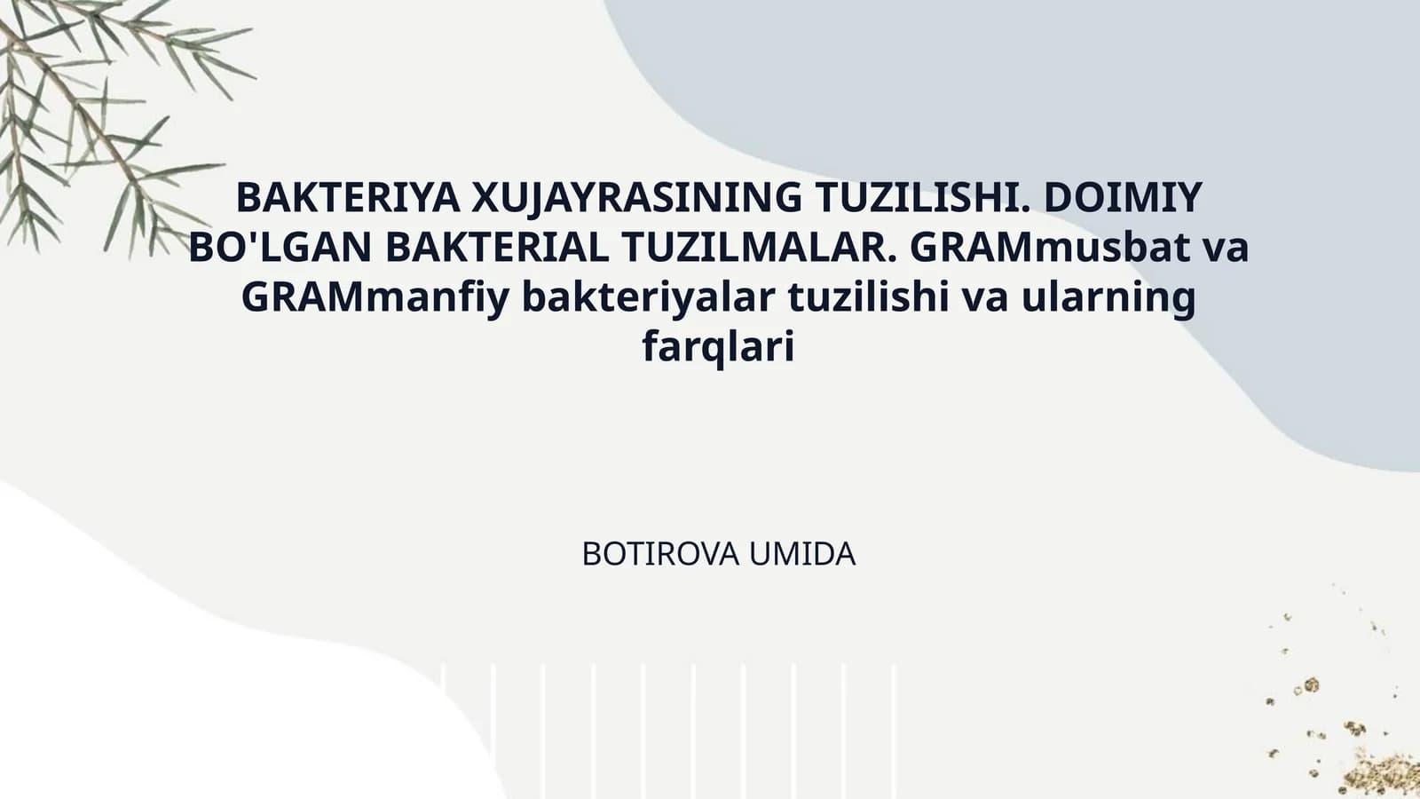 BAKTERIYA XUJAYRASINING TUZILISHI. DOIMIY BO'LGAN BAKTERIAL TUZILMALAR. GRAMmusbat va GRAMmanfiy bakteriyalar tuzilishi va ularning farqlari