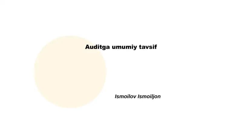 Auditga umumiy tavsif