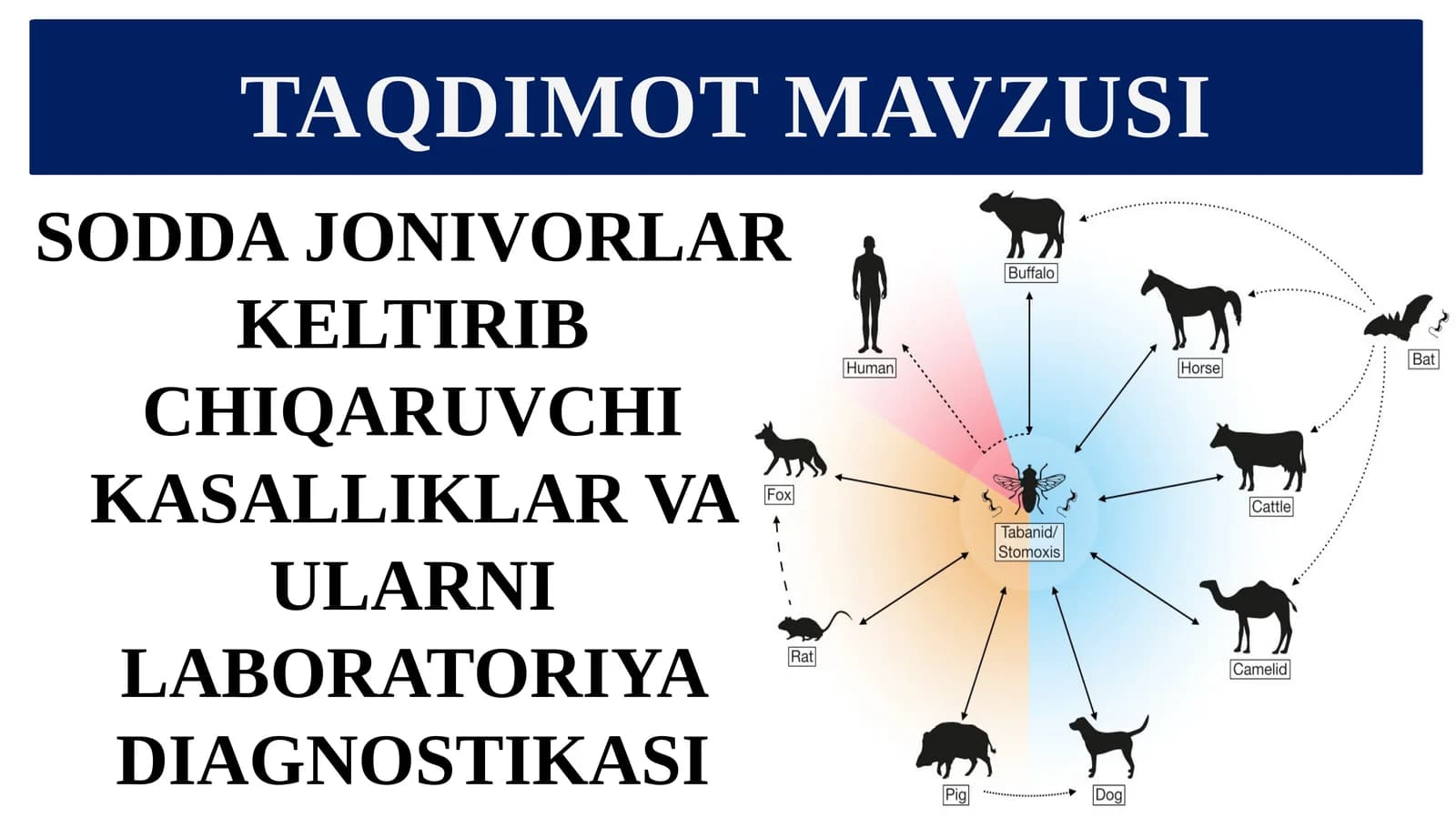Soddajonivorlar Keltirib Chiqaruvchi Kasalliklar va Ularni Laboratoriya Diagnostikasi