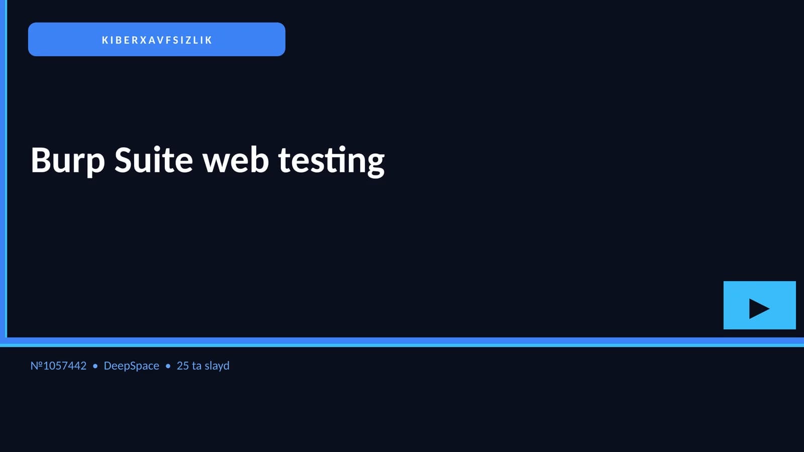 Burp Suite web testing