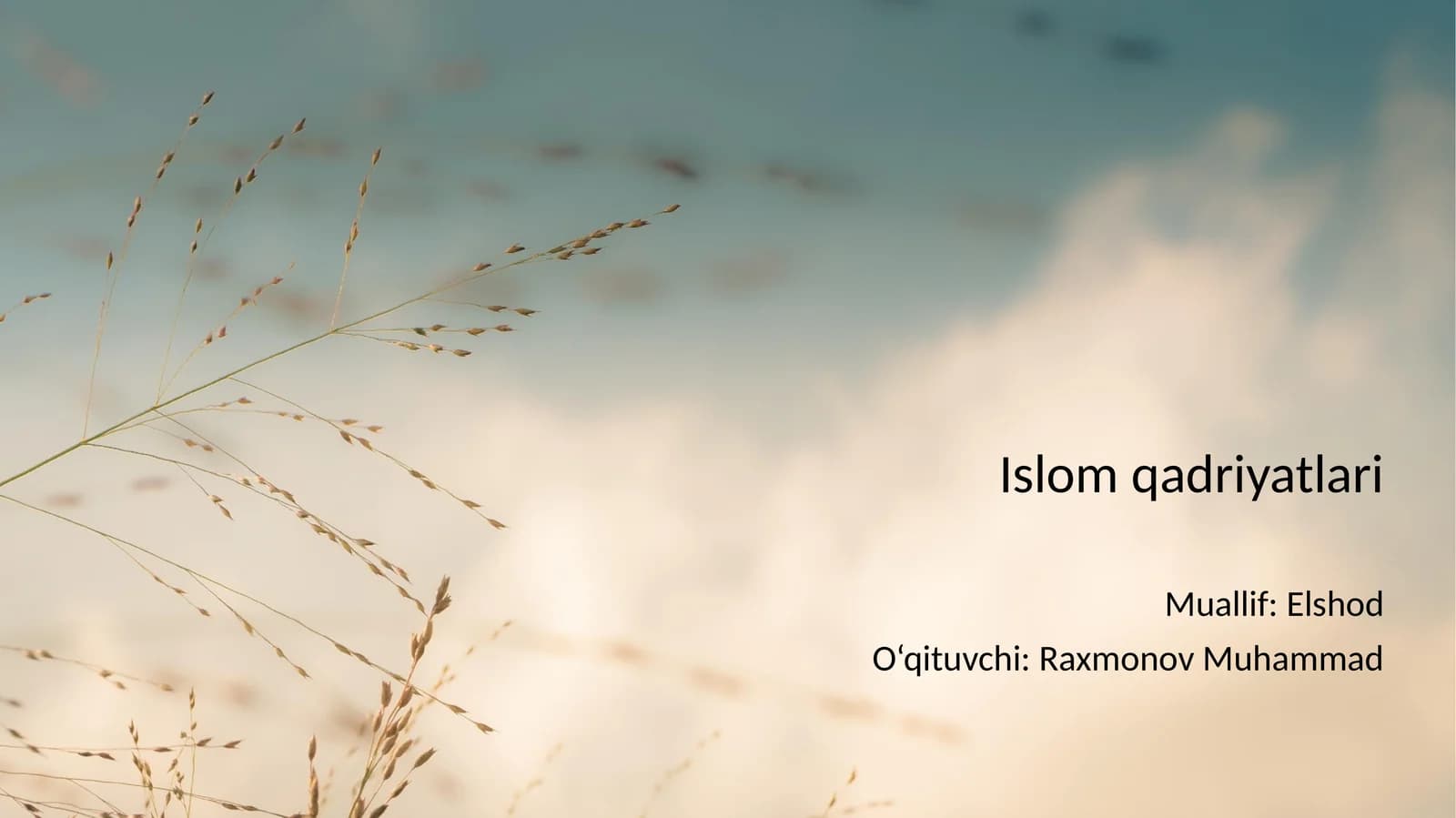 Islom qadriyatlari
