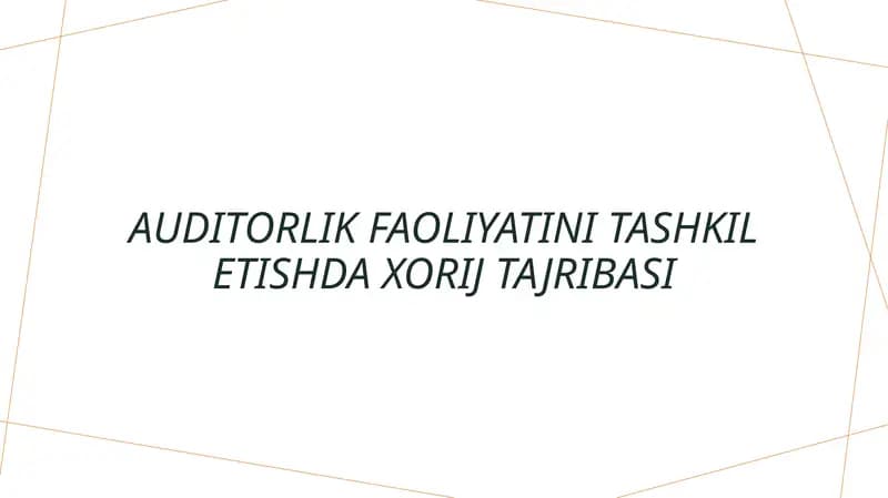 Auditorlik faoliyatini tashkil etishda xorij tajribasi