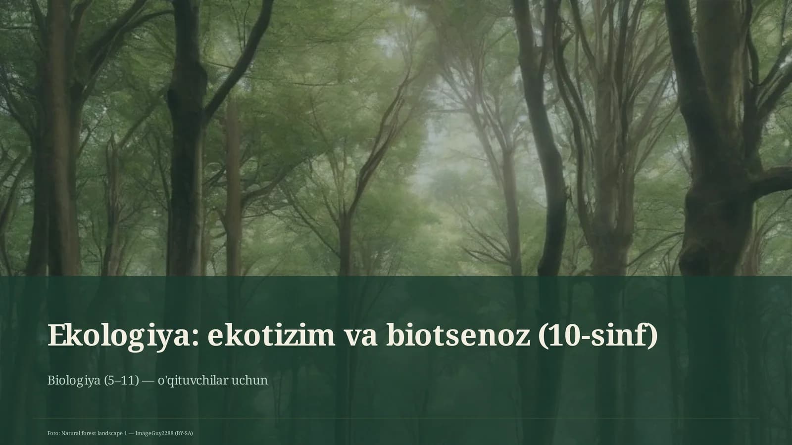 Ekologiya: ekotizim va biotsenoz (10-sinf)